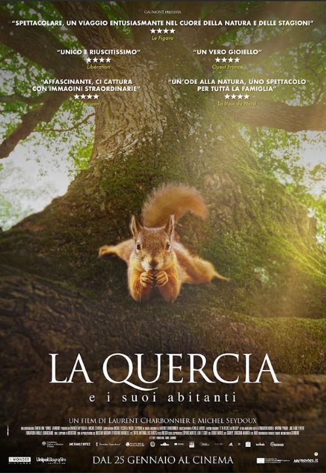 La Quercia e i suoi Abitanti – Recensione del Film Documentario di Laurent Charbonnier e Michel Seydoux